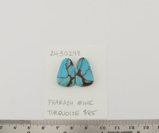 Pharaoh Mine Turquoise