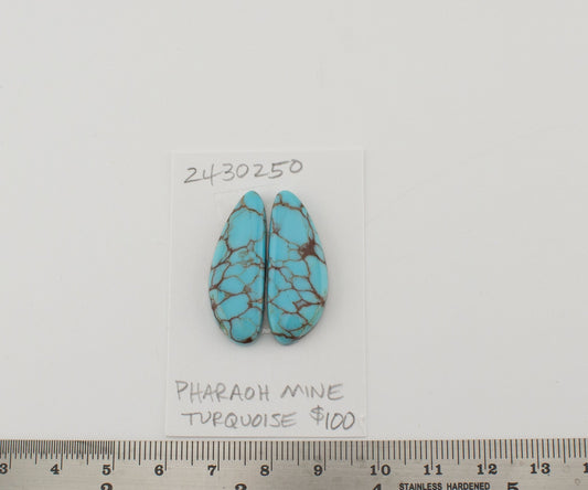 Pharaoh Mine Turquoise