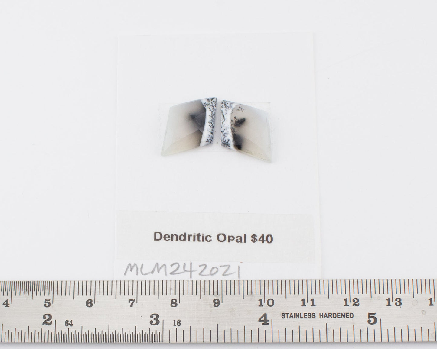 Dendritic Opal