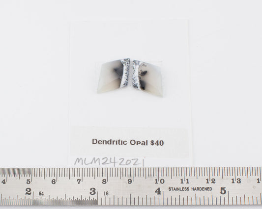 Dendritic Opal