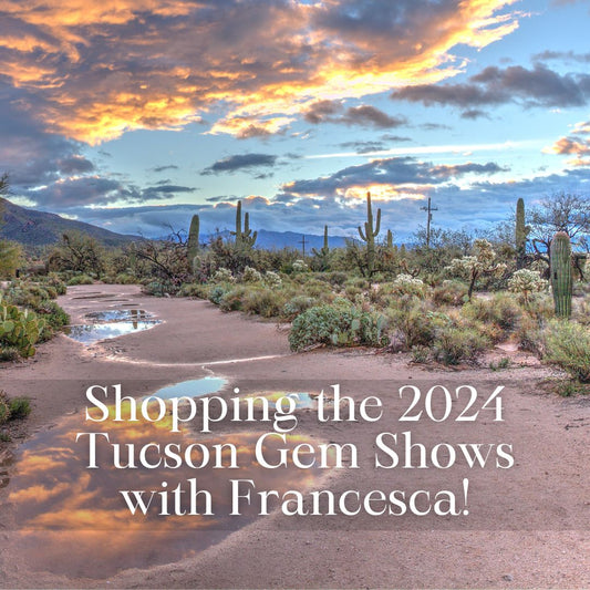 Shop Tucson with Francesca!